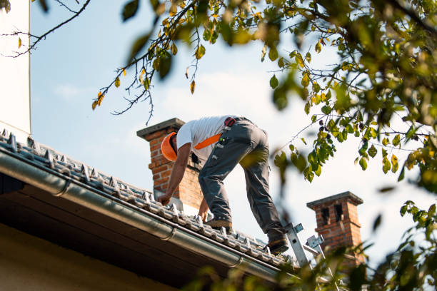 Best Best Roofing Contractors  in Wonder Lake, IL