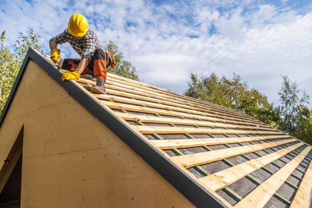 Roof Gutter Cleaning in Wonder Lake, IL