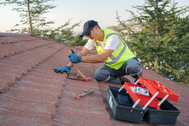 Best Flat Roof Repair Services  in Wonder Lake, IL