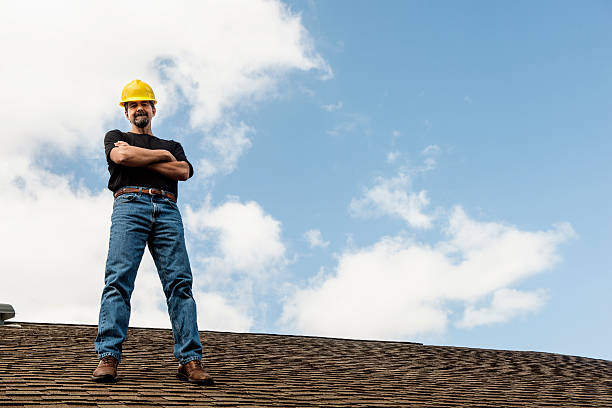 Best Metal Roofing Contractor  in Wonder Lake, IL